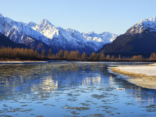 Haines Bald Eagle Preserve Private Cruise Excursion Cost