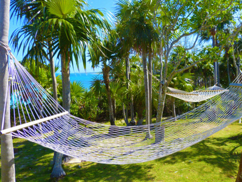 Nassau Sandy Toes Beach Cruise Excursion Reviews