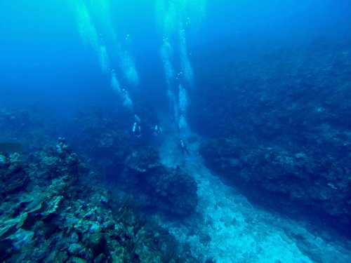 Harvest Caye Belize Discover Scuba Scuba Diving Tour Prices