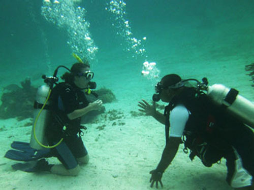 Harvest Caye Belize Harvest Caye Scuba Diving Excursion Cost