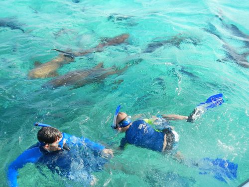 Harvest Caye  Belize Harvest Caye Trip Booking