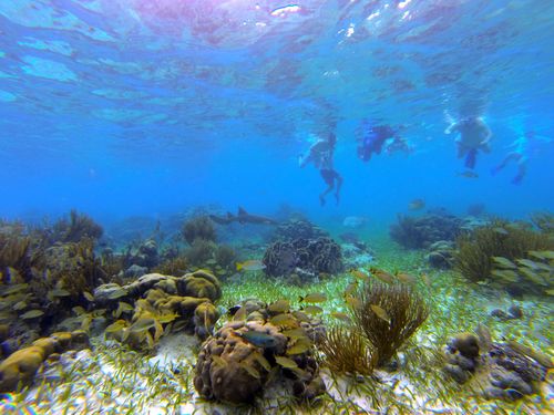 Harvest Caye  Belize National Park Excursion Cost