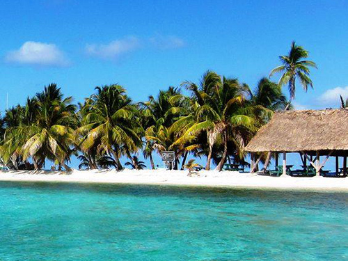 Harvest Caye  Belize Snorkel adventure Cruise Excursion Cost