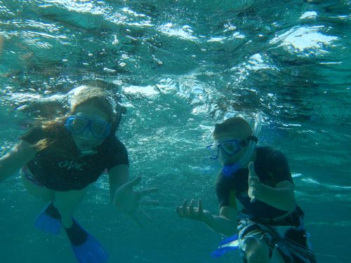 Harvest Caye Coral Reef Tour Booking