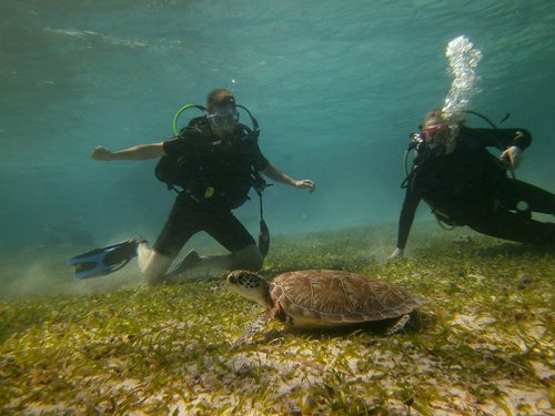 Harvest Caye  Cruise Excursion Reservations
