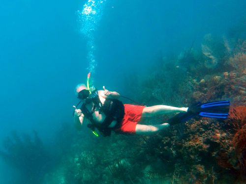 Harvest Caye Harvest Caye Scuba Diving Trip Booking