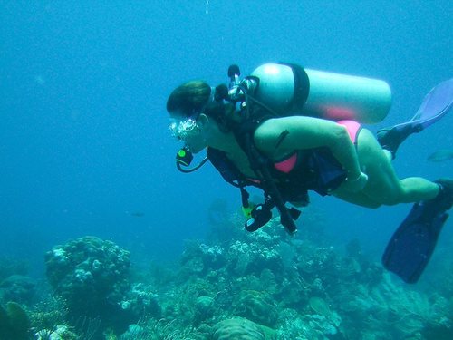 Harvest Caye Harvest Caye Shore Excursion Reviews