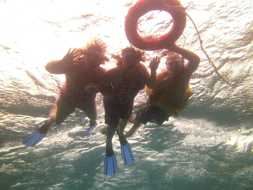 Harvest Caye Snorkeling Excursion Trip Prices