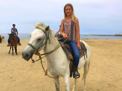 Ensenada all terrain vehicle Prices