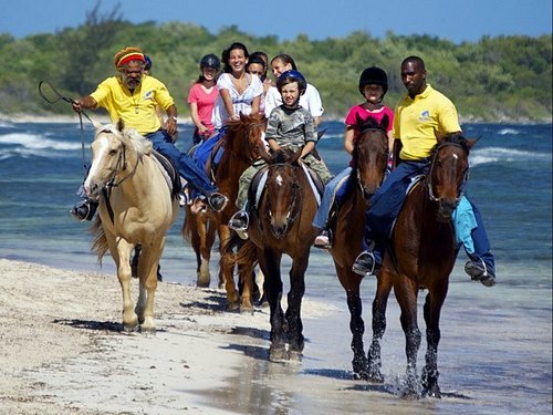 Falmouth horse riding through water Reviews