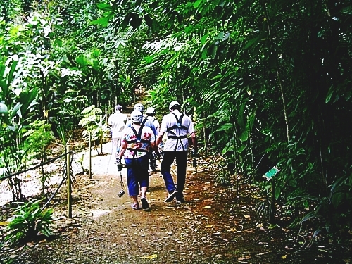 Puerto Limon canopy zip line Shore Excursion Cost