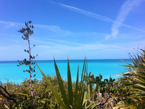 Nassau Bahamas charter boat Excursion Reviews