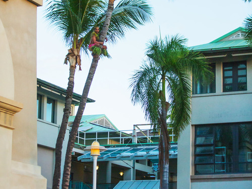 Hawaii Ka Moana Luau Shore Excursion Reservations