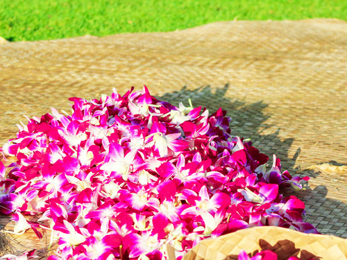 Oahu Ka Moana Luau Shore Excursion Prices