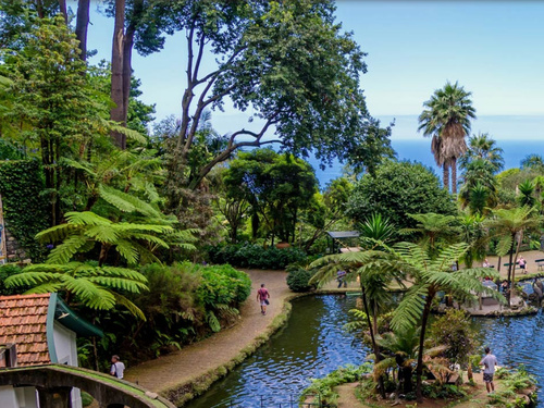 Funchal (Madeira) Botanical Garden Trip Tickets
