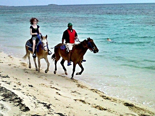Grand Turk swim with horse Trip Prices
