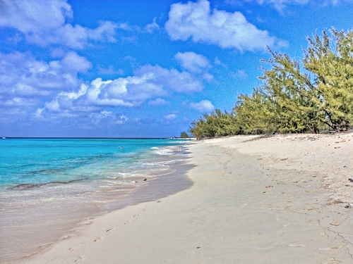 Turks and Caicos swim with horse Shore Excursion Cost