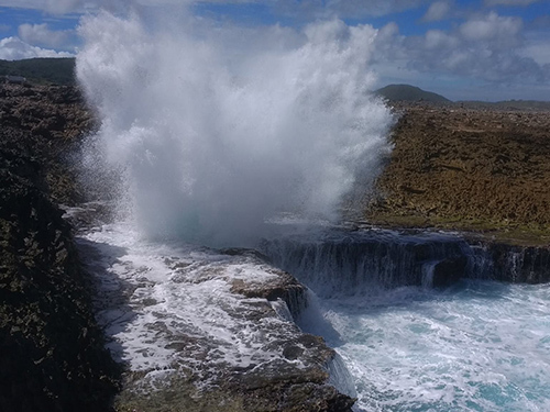 Curacao UNESCO City Tour Tickets