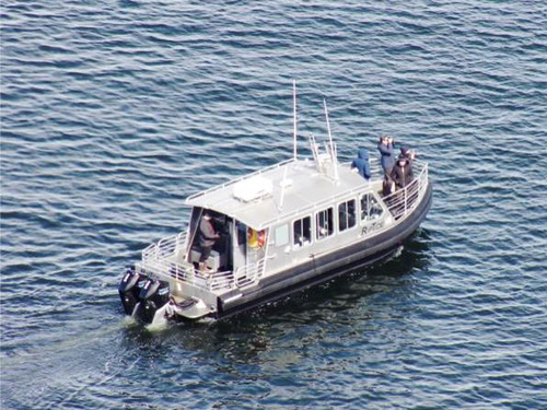 Icy Strait  Alaska / USA Whale Watching Trip Reservations