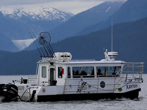 Hoonah Humpback whale Trip Reviews