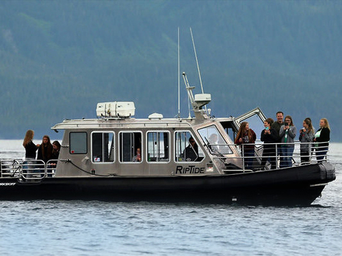 Icy Strait (Hoonah) black bear Excursion Prices