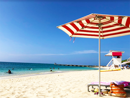Montego Bay  Jamaica Sightseeing Trip