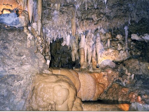 Barbados stalagmite stalactite Excursion