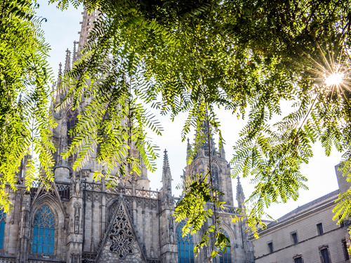 Barcelona Spain Basilica Tour Reservations