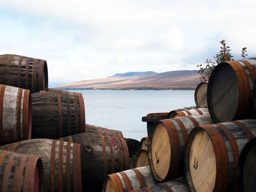 Invergordon Best of Highlands and Sightseeing Excursion 