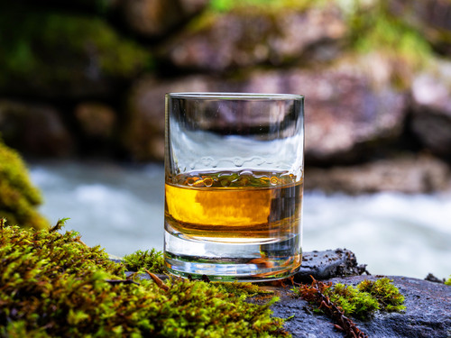 Invergordon Best of Highlands and Sightseeing Excursion 