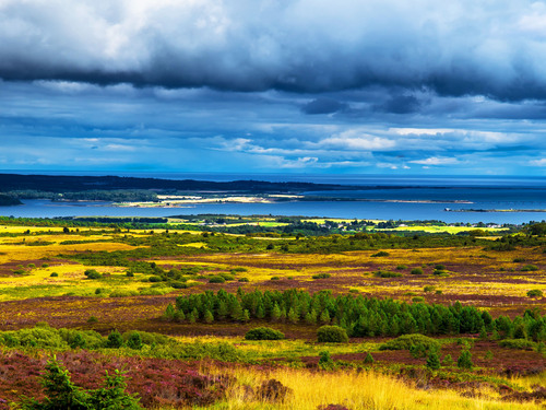 Invergordon Dunrobin Castle and Highland Villages Excursion