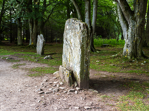 Invergordon Scotland Cupped Stone Sightseeing Tour Tickets