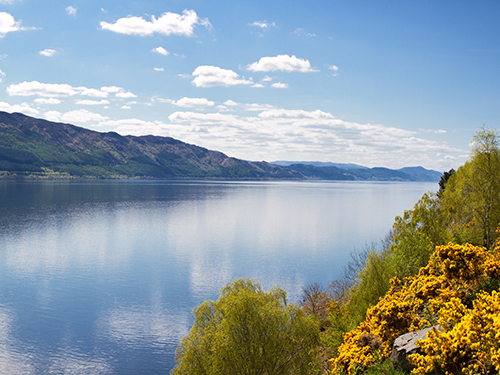 Invergordon Scotland Glen Ord Distillery Sightseeing Trip Prices