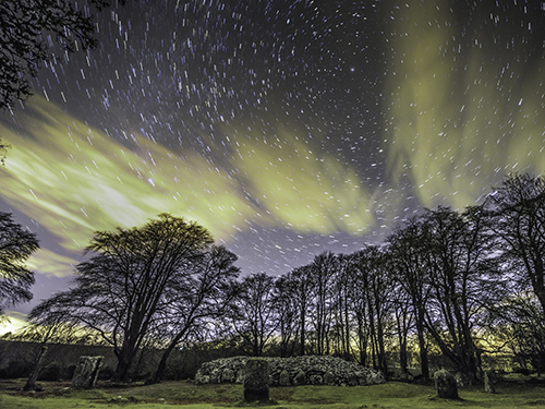 Invergordon Family Sightseeing Tour Reservations