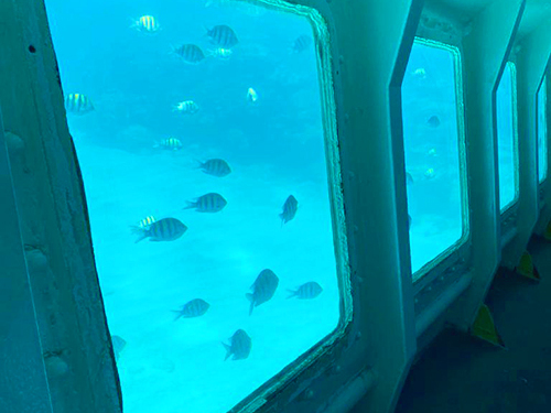 Roatan sightseeing Tour Booking
