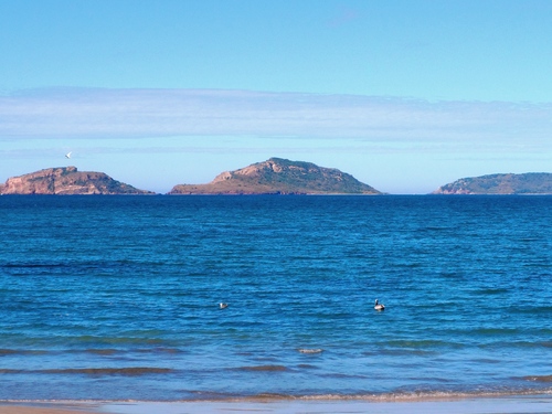 Mazatlan Mexico deer island Shore Excursion Reservations