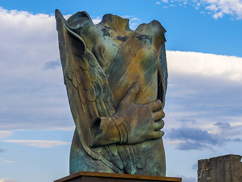 Naples (Capri)  Italy Lunch Sightseeing Trip Prices