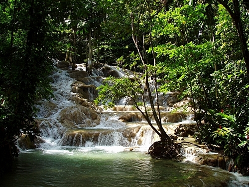 Ocho Rios Falls Tubing Shore Excursions Reviews