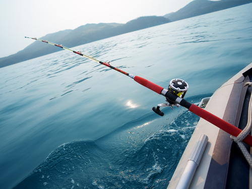 Juneau sport fishing Prices Shore Excursion