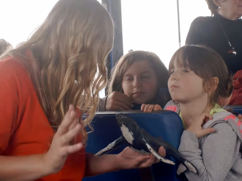 Juneau ocean kayak Shore Excursion Tickets