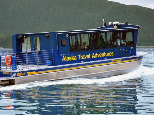 Juneau Sea Lions Cruise Excursion Cost