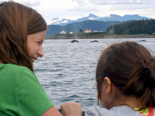 Juneau gold creek salmon buffet Trip Booking