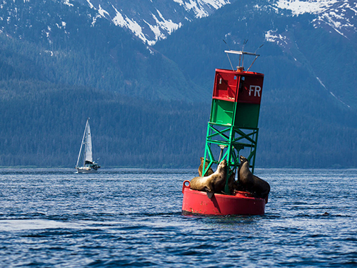 Juneau Alaska / USA Tongass National Rainforest Food Trip Booking