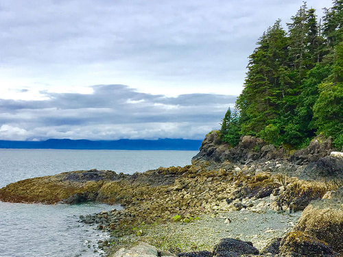 Juneau Friends Kayak Tour Reservations