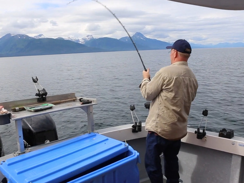 Juneau sport fishing Reservations Trip