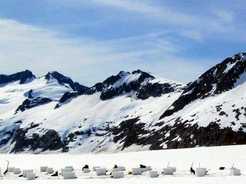 Juneau Alaska Mendenhall Ice Field Cruise Excursion Tickets