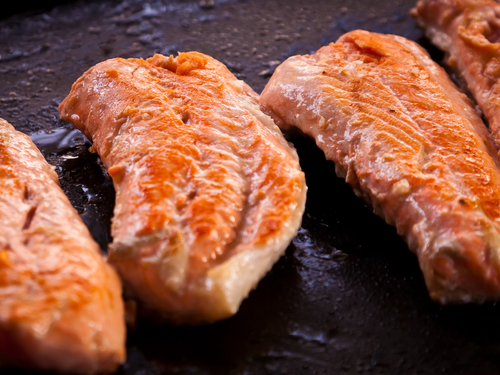 Juneau Alaska / USA fresh salmon baked Cruise Excursion Reviews