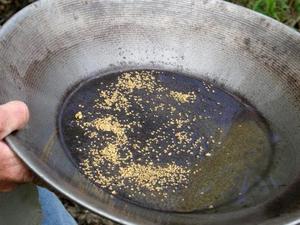 Juneau Historic Gold Panning and Salmon Bake Combo Excursion