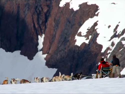 Juneau Alaska dog sledding Tour Reviews