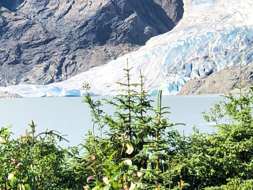 Juneau Private Highlights Sightseeing Excursion